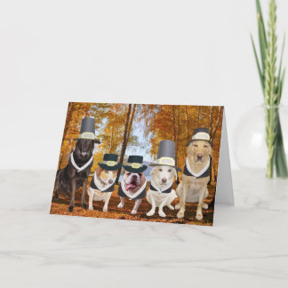 Erntedank Card für den Funny Dog Pilgrims Feiertagskarte