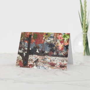 Erntedank Card: Hummingbird im Weingarten Feiertagskarte