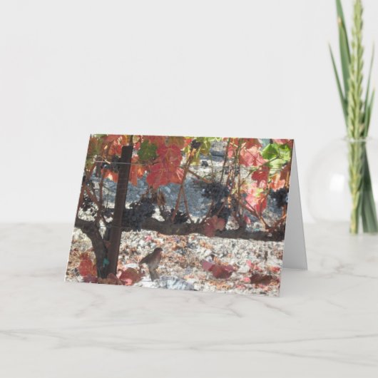 Erntedank Card: Hummingbird im Weingarten Feiertagskarte (Vorderseite)