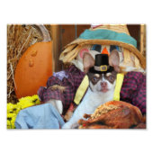 Erntedank Chihuahua Fotodruck (Vorne)