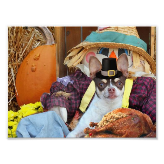 Erntedank Chihuahua Fotodruck (Vorne)