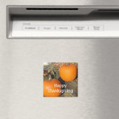 Erntedank Country Pumpkins Magnet (In Situ (Geschirrspüler))