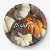 Erntedank Dankeschön Dinner Pumpkin Harvest Pappteller (Vorderseite)