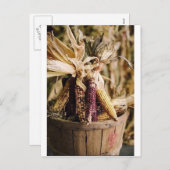 Erntedank ernten Mais Feiertagspostkarte (Vorne/Hinten)