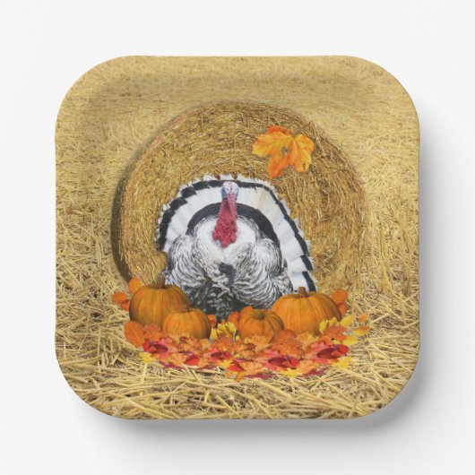 Erntedank Erntepapierplatte Pappteller (Vorderseite)