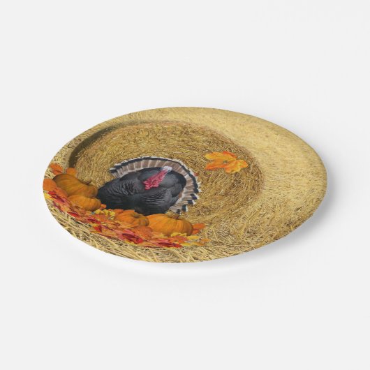 Erntedank Erntepapierplatte Pappteller (Schrägansicht)