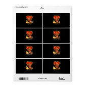 Erntedank Es ist Herbst Y's Dackel (Vorne)