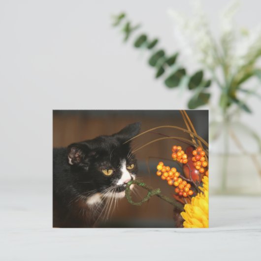 Erntedank Feiertagspostkarte (Stehend Vorderseite)