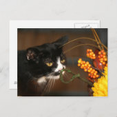 Erntedank Feiertagspostkarte (Vorne/Hinten)