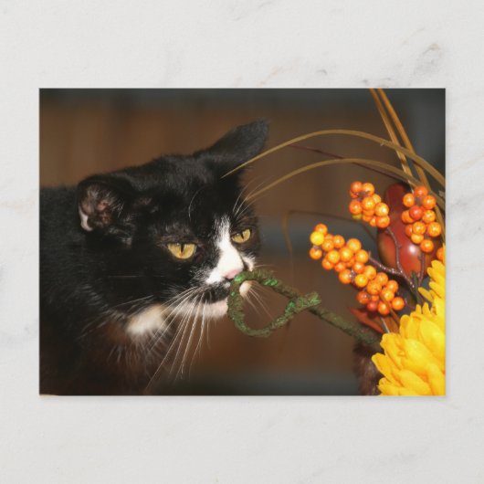 Erntedank Feiertagspostkarte (Vorderseite)