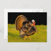 Erntedank Feiertagspostkarte (Vorne/Hinten)