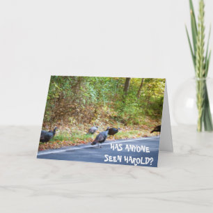 Erntedank, HAROLD DER VERMISSTEN TÜRKEI-Karte Feiertagskarte