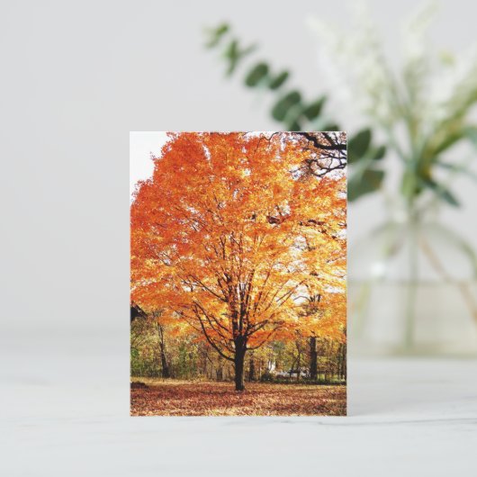 Erntedank Herbstbaum Blätter Postkarte (Stehend Vorderseite)