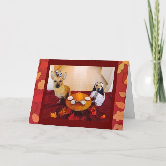 Erntedank Hunde Feiertagskarte (Vorderseite)