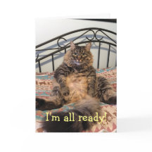 Erntedank Hungerkatze Erntedank Card