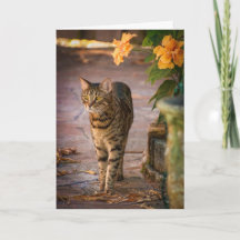 Erntedank-Karte mit Katz- und Herbstkarte Blume
