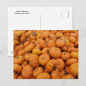 Erntedank Kürbis Postkarte (Vorne/Hinten)