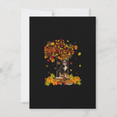 Erntedank Maple Pumpkin Bernese Mountain Dog Ha Einladung (Vorderseite)
