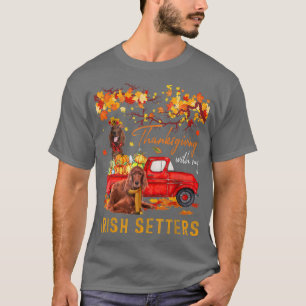 Erntedank mit meinen irischen Sitzplätzen im Liefe T-Shirt