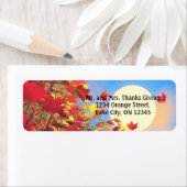 Erntedank Morning (Insitu)