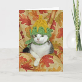 Erntedank oder Fallkarte für Tabby und Weiße Katze Karte