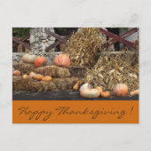 Erntedank Orange Kürbis rustikale Postkarte (Vorderseite)