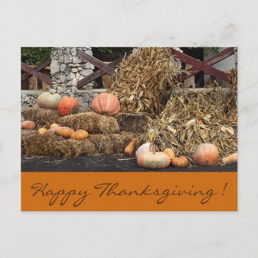 Erntedank Orange Kürbis rustikale Postkarte (Vorderseite)