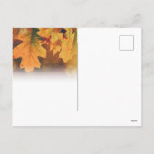 Erntedank Postkarte (Rückseite)