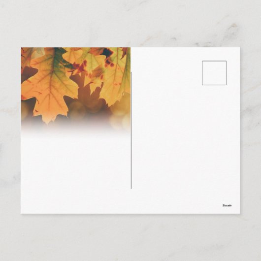 Erntedank Postkarte (Rückseite)