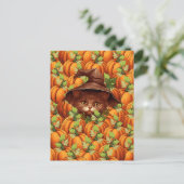 ERNTEDANK PUMPKINS NIEDLICH CAT POSTKARTE (Stehend Vorderseite)