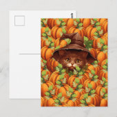 ERNTEDANK PUMPKINS NIEDLICH CAT POSTKARTE (Vorne/Hinten)