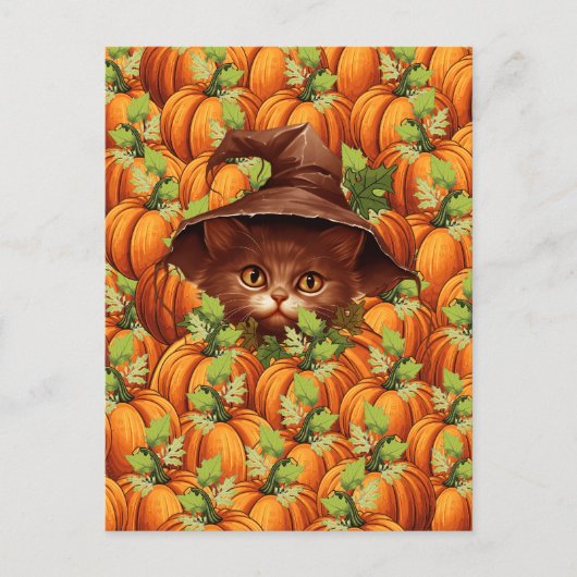 ERNTEDANK PUMPKINS NIEDLICH CAT POSTKARTE (Vorderseite)