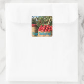 Erntedank Red Apple Harvest Quadratischer Aufkleber (Tasche)
