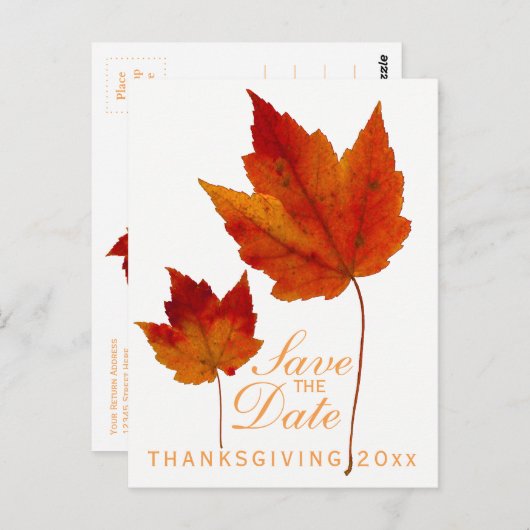 Erntedank Save the Date Ahornleaf Postkarte (Vorne/Hinten)