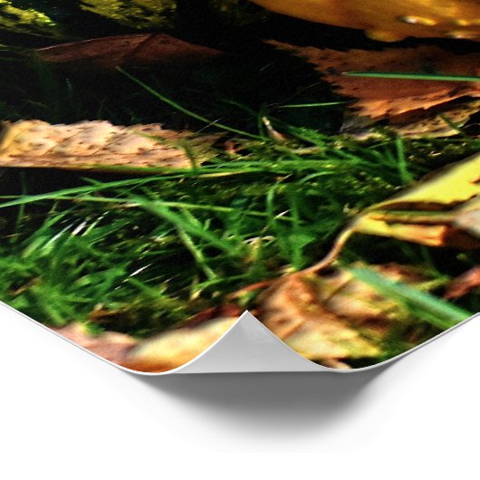 Erntedank-Szene mit Pumpkins-Corn-Gourds Poster (Ecke)