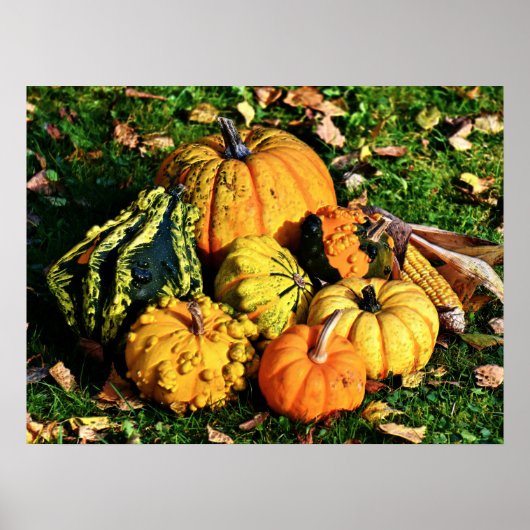 Erntedank-Szene mit Pumpkins-Corn-Gourds Poster (Vorne)