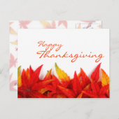 Erntedank Tag Postkarte (Vorne/Hinten)