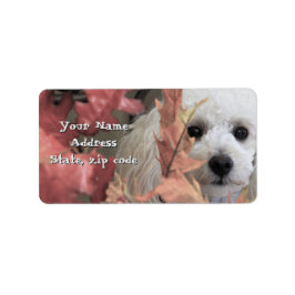 Erntedank Toy Poodle Welpen-Adressetiketten Adressaufkleber