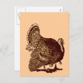 Erntedank Türkei Feiertagspostkarte (Vorne/Hinten)