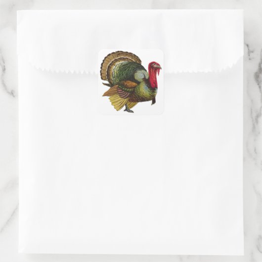 Erntedank Türkei Quadratischer Aufkleber (Tasche)