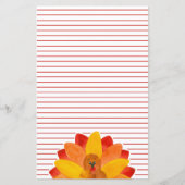 Erntedank Türkei - Rotseide-Papier (Vorderseite)