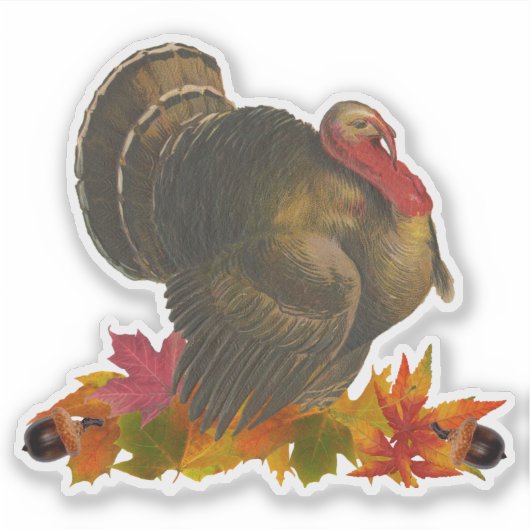 Erntedank Turkey Sticker (Vorderseite)