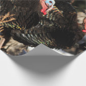 Erntedank von Wild-Truthühnern Geschenkpapier (Ecke)
