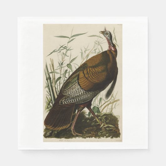 Erntedank Wild Turkey John James Audubon Serviette (Vorderseite)