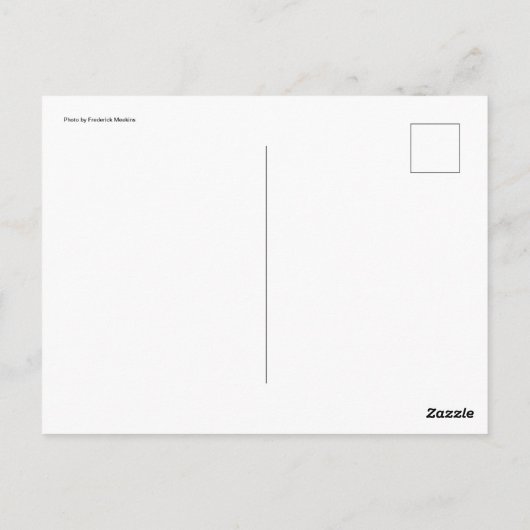 Erntedank Willkommen Postkarte (Rückseite)