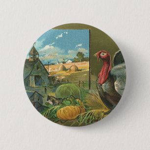 Erntedankfest im alten Stil, Truthahn auf dem Baue Button