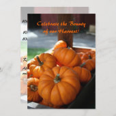 Ernteeinladung - Mini-Kürbis Einladung (Vorne/Hinten)