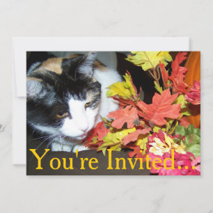 Ernteeinladung mit getigertem Thanksgiving-Kater z Einladung