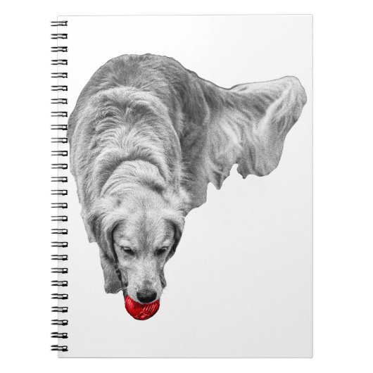 Ernteemberreflektionen Notizblock (Vorderseite)