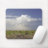 Erntefelder mit Kosmos-Blumen herein Mousepad (Mit Mouse)